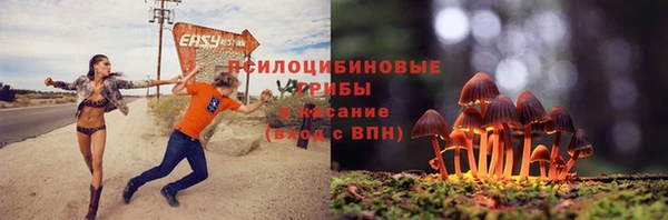стафф Алексеевка