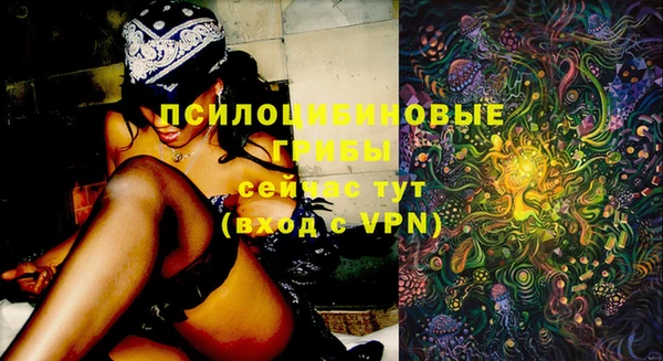 стафф Алексеевка