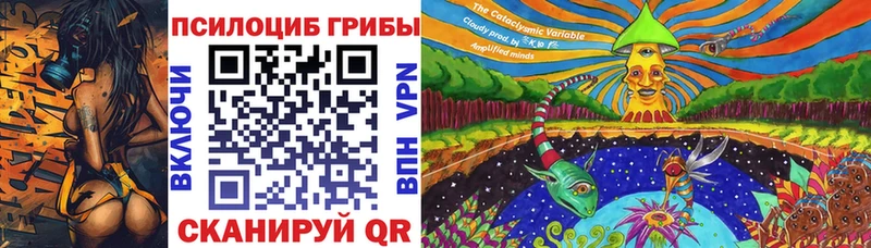 закладка  Дегтярск  Галлюциногенные грибы Psilocybe 